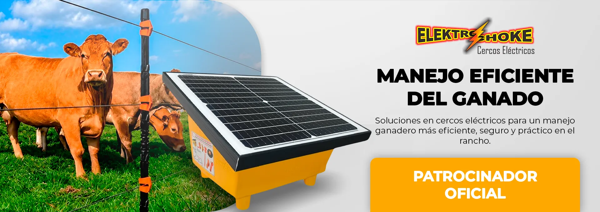 Banner de patrocinador GANARE 2026 - Elektrochoke