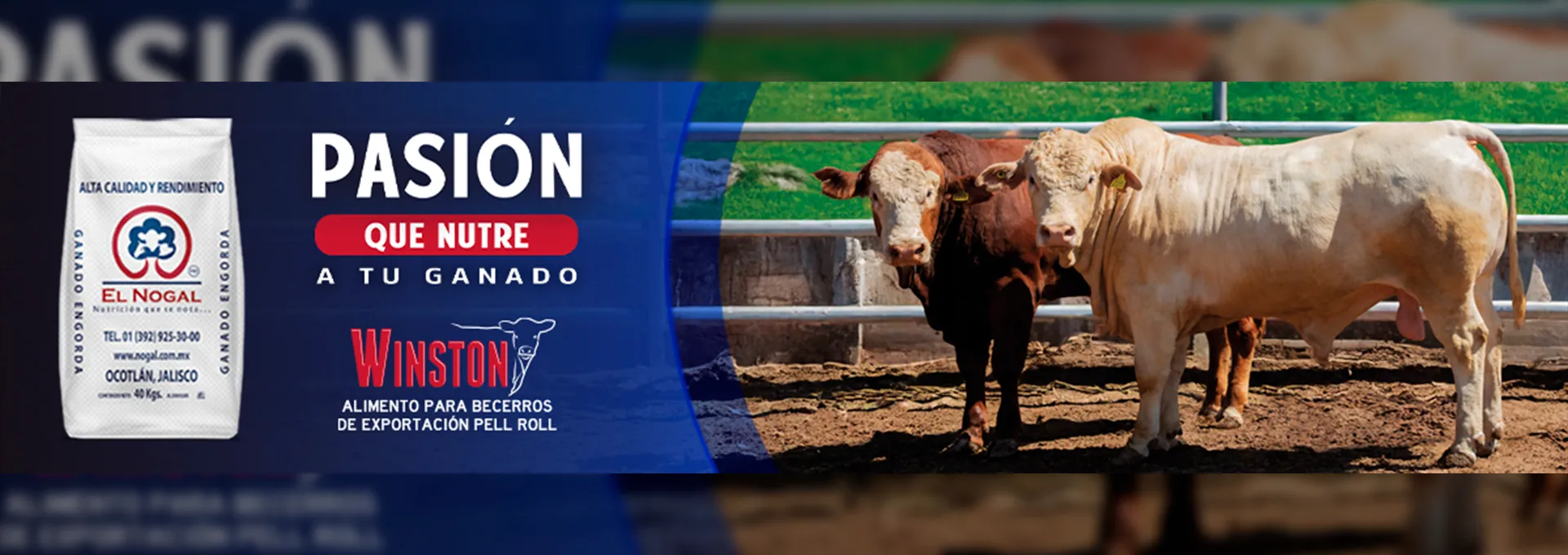 Banner de patrocinador GANARE 2026 - El Nogal
